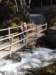 dsc02059_small.jpg