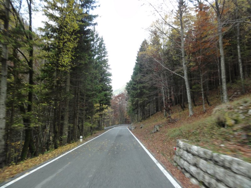 dsc02123.jpg